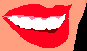   Visual Basic NET ( 2)
