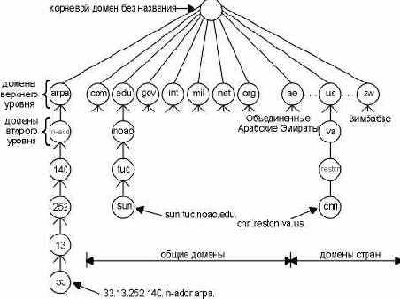   DNS.