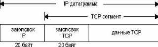  TCP   IP .