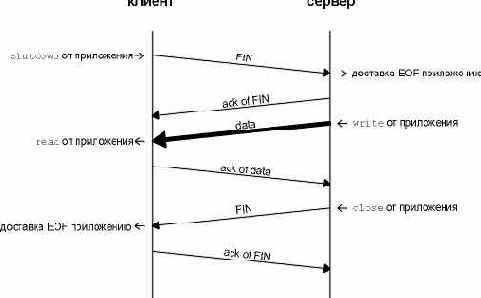 TCP   .