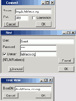  ldp exe  